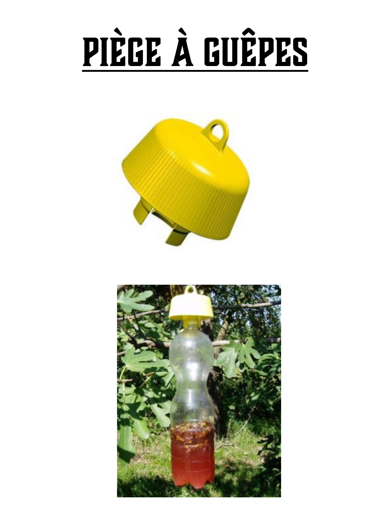 Pièges à guêpes et frelons disponibles en mairie